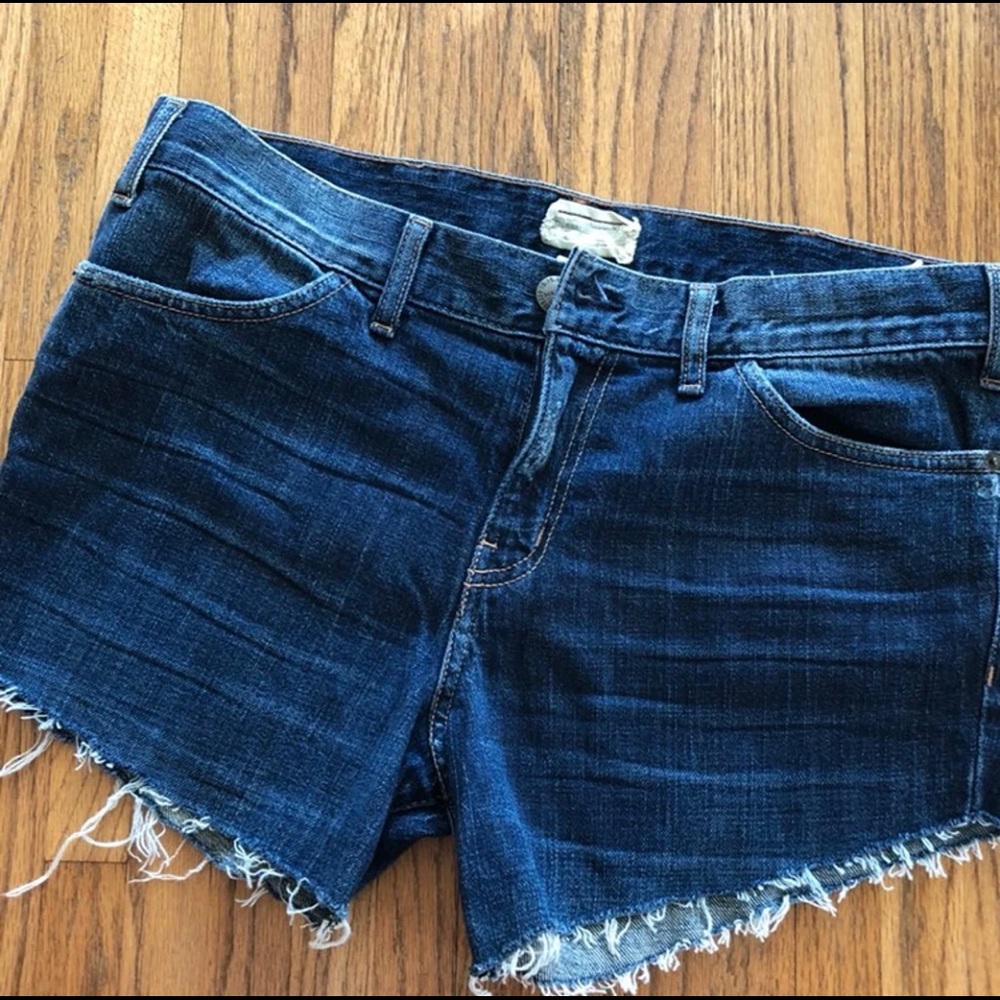 Current/Elliot Shorts